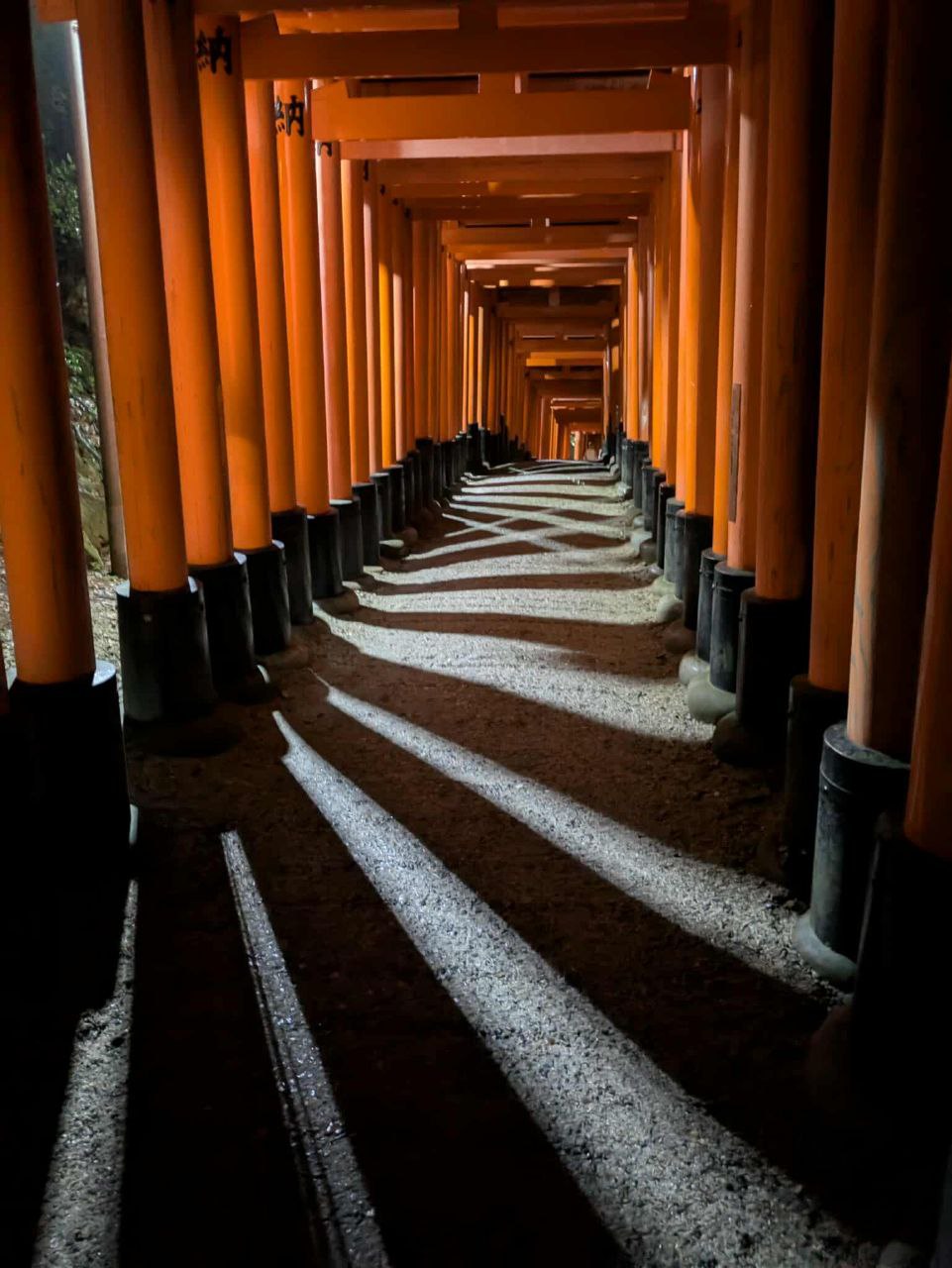 Torii